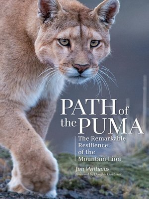 cover image of Path of the Puma